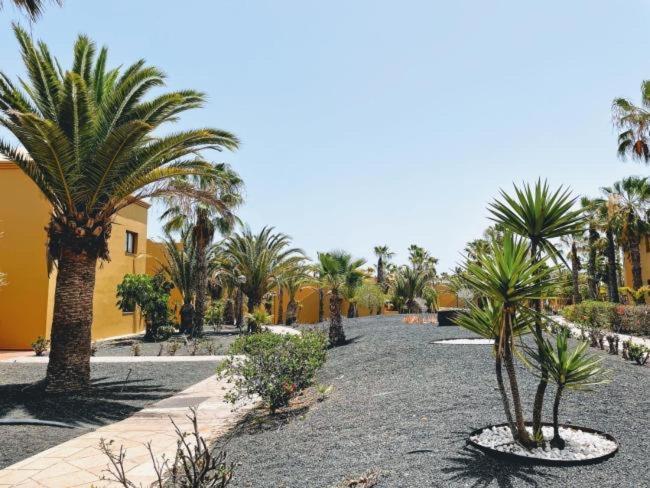 Casa Paraiso Papagayo كوراليهو المظهر الخارجي الصورة